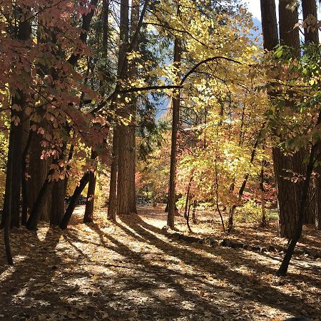 Yosemite Condominium ヨセミテ・ウェスト エクステリア 写真