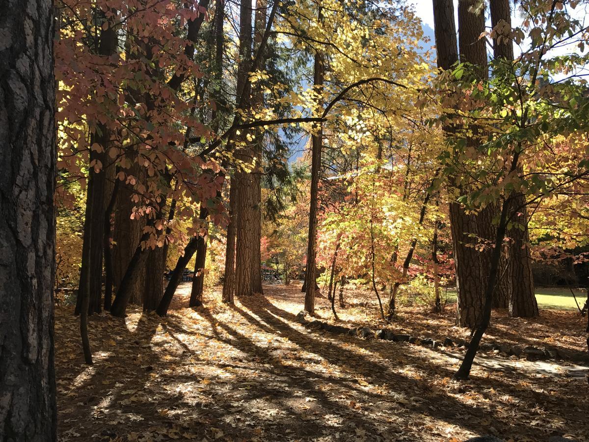 Yosemite Condominium ヨセミテ・ウェスト エクステリア 写真